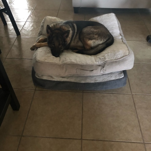 SC - Picture 9 of 17